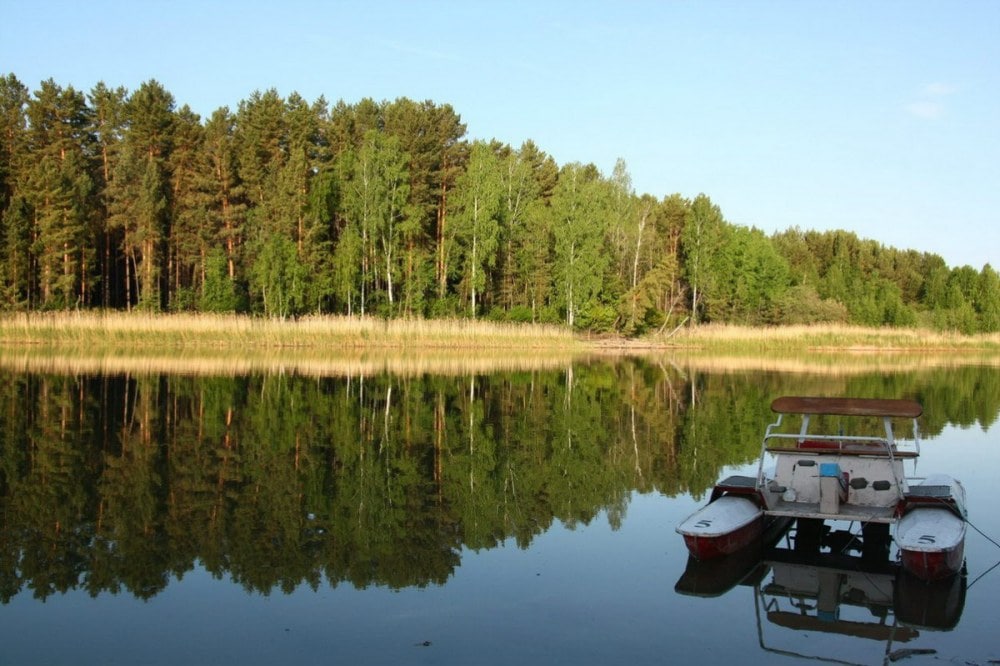 Синеморье база отдыха новосибирск фото