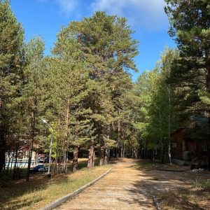 007e9f5a 0f46 4915 bc51 de688043209a min