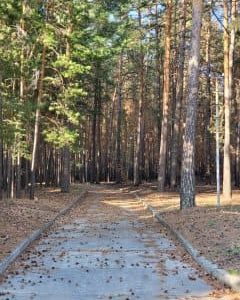 6e7494e7 3840 4fad baf1 0cbfcb672b17 min