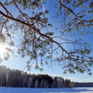 Img 4635 min