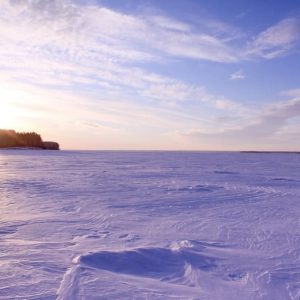 Img 5121 min